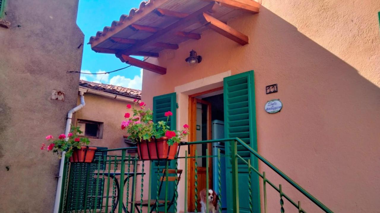 Apartamento L'Isola Di Boccheggiano Exterior foto